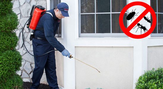Mihalgazi Dezenfeksiyon böcek ilaçlama ve haşere kontrolü — ilaclama-tr.com
